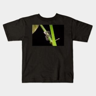 Unique and organic photo of a swarm of ants tending a treehopper Kids T-Shirt